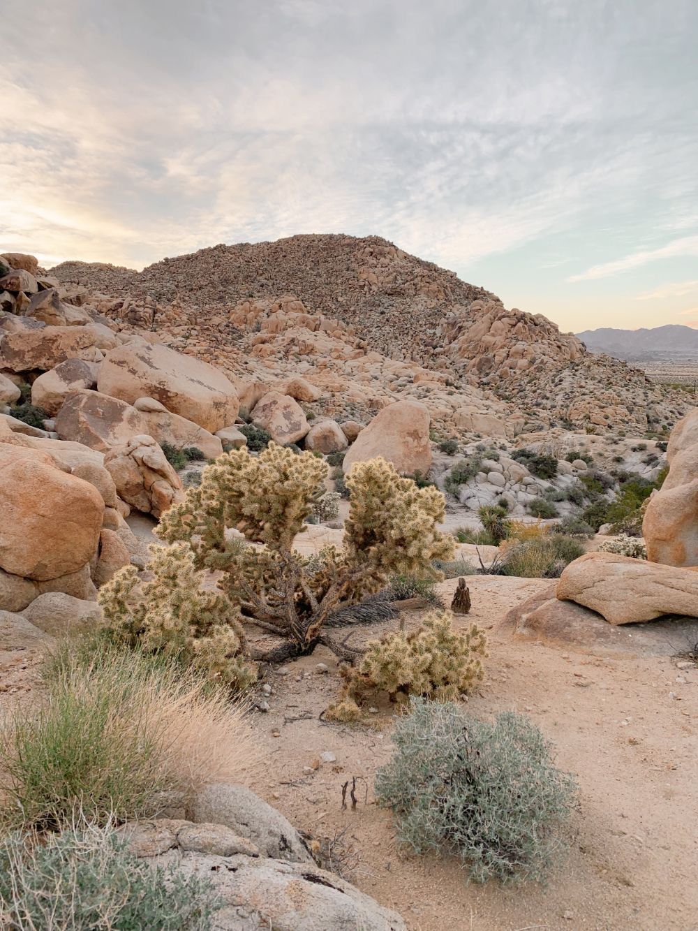 Desert landscape at an Unfenced retreat